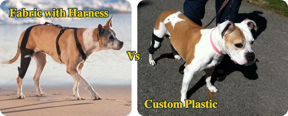 Fabric vs Custom dog knee braces