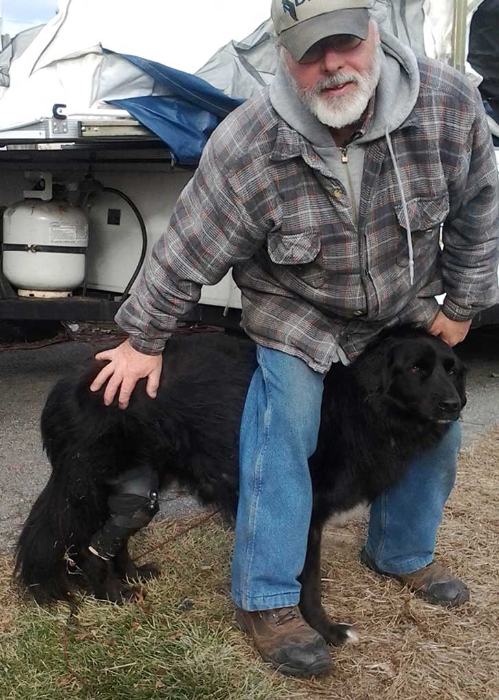 Man standing with English Springer Spaniel/Black Lab wearing Cruciate Brace