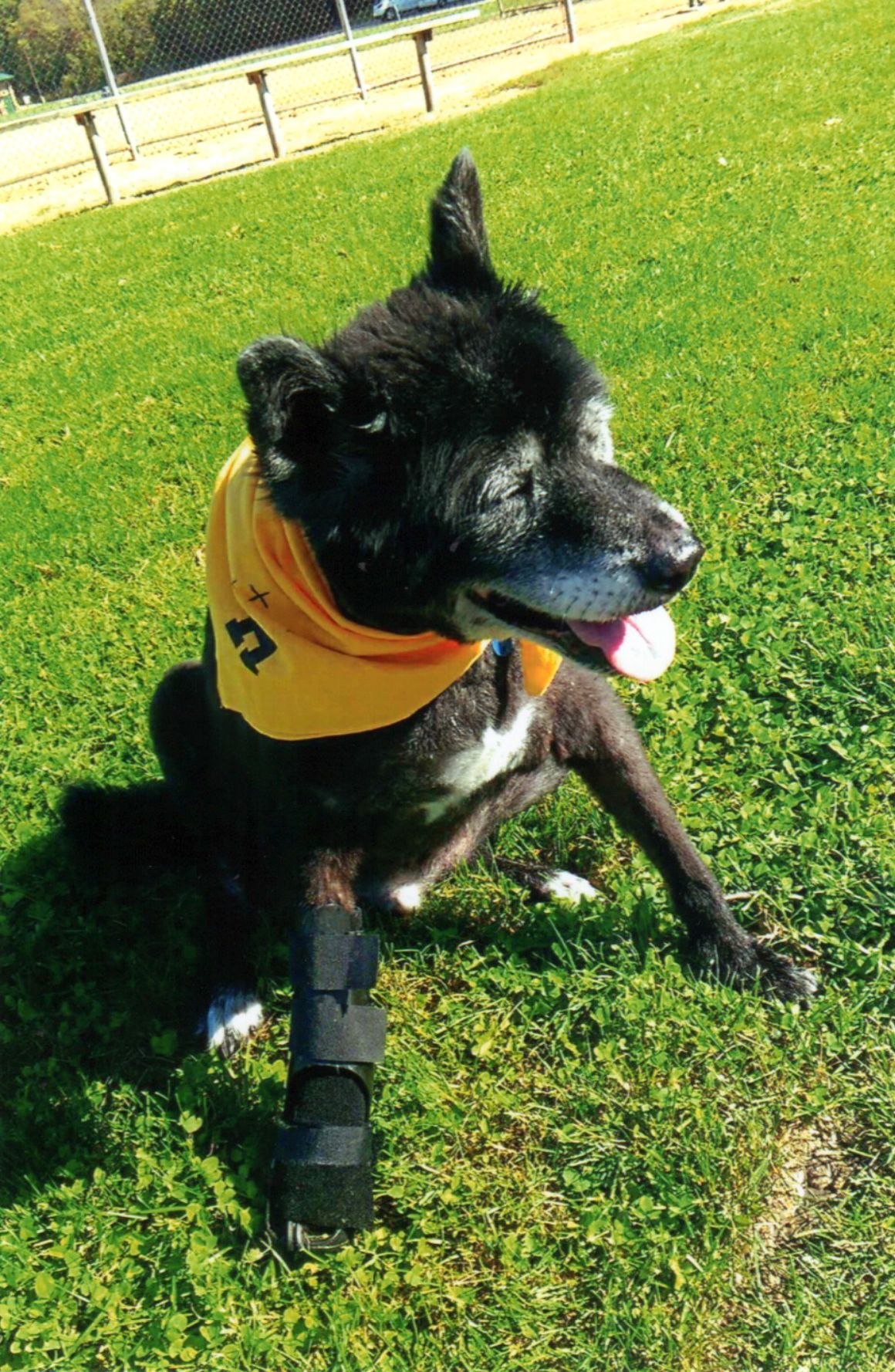 Boo Boo, Melts a Heart, Saves a Life
