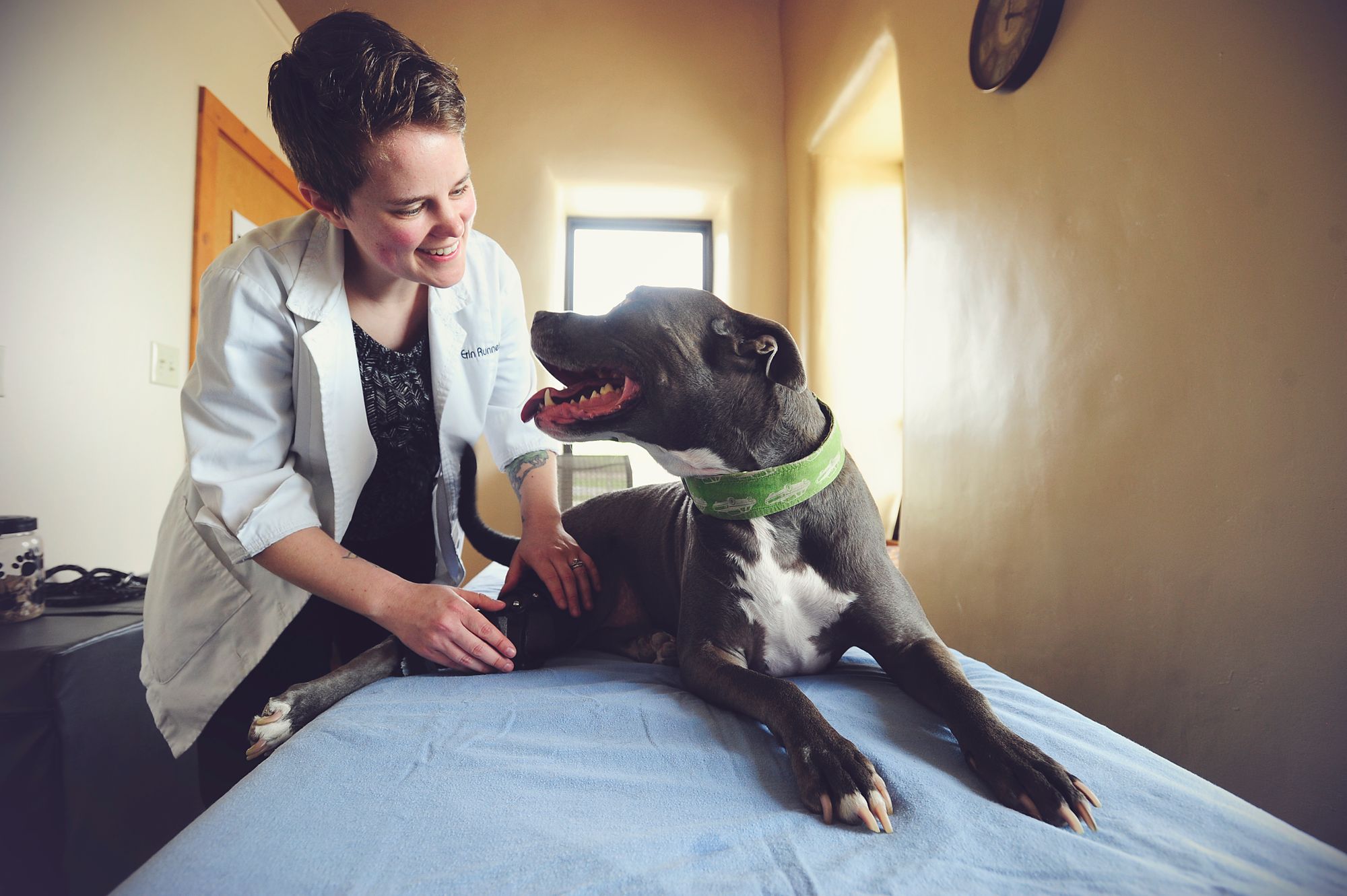 Veterinarian smiling at a dog while fitting a Hero leg brace