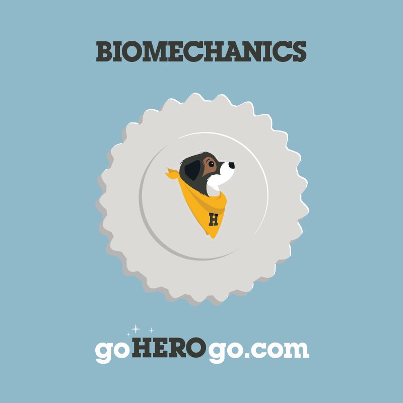 Hero logo in the middle of a gear representing Biomechanics logo for goherogo.com