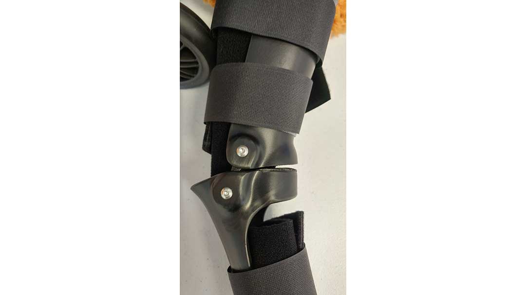 Close up of a Hero hock brace for an Achilles tendon tear in dogs