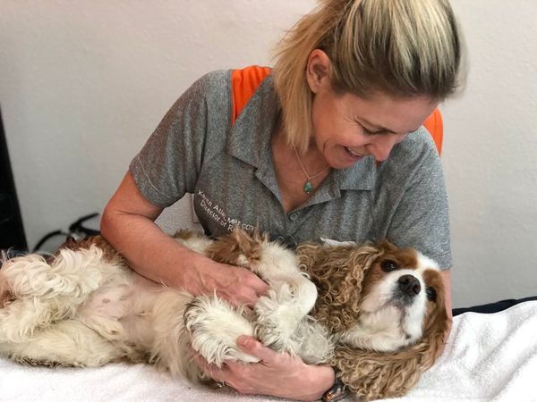 Karen Atlas PT hugging a cocker spaniel