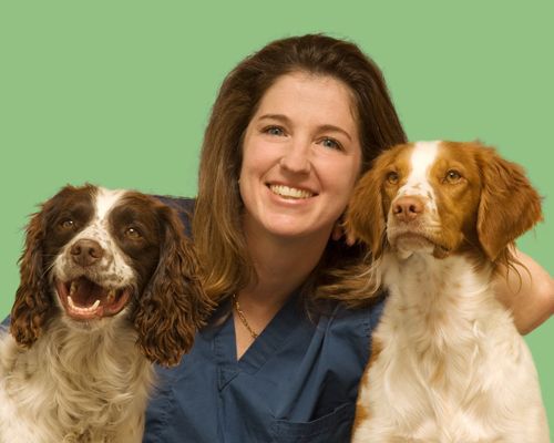 Dr. Carrie Adrian smiling with a Brittany and an English Springer Spaniel