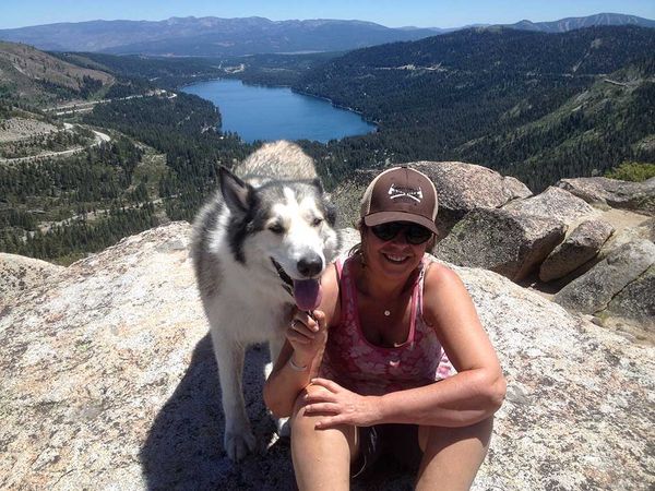 Malamute/Husky/Akita/Wolf dog standing by woman on top of Mt. Judah Loop Hiking Trail with Donner Lake in background